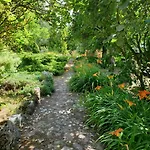 Kamienny Ogrod * Mikołajki