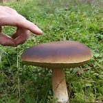 Kamienny Ogrod 别墅 Mikołajki