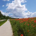 Kamienny Ogrod Mikołajki