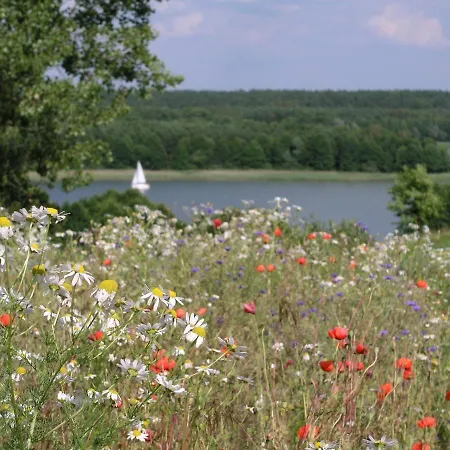 Villa Kamienny Ogrod