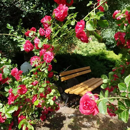 Villa Kamienny Ogrod *