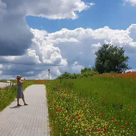 Kamienny Ogrod Villa *