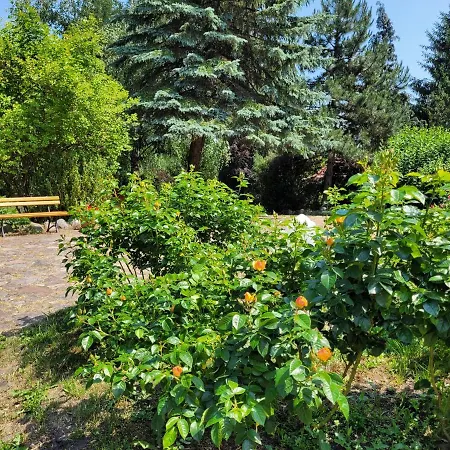 Willa Kamienny Ogród Mikołajki