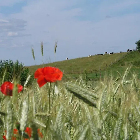 Villa Kamienny Ogrod Mikołajki
