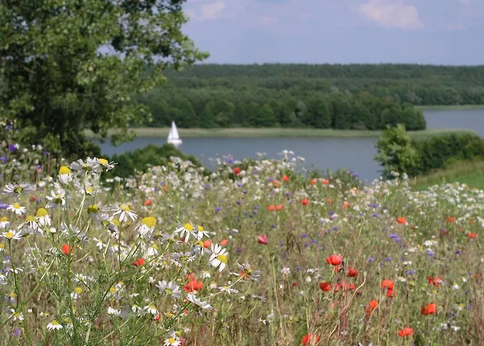 Willa Kamienny Ogród