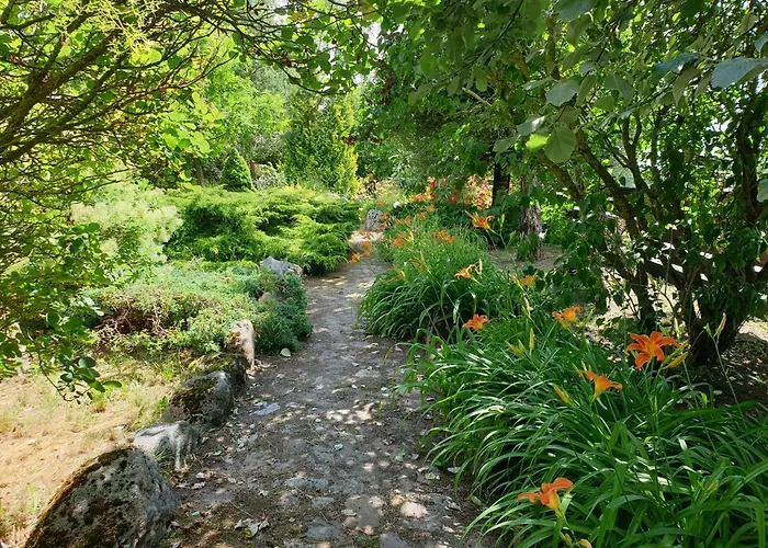 Kamienny Ogród * Mikołajki