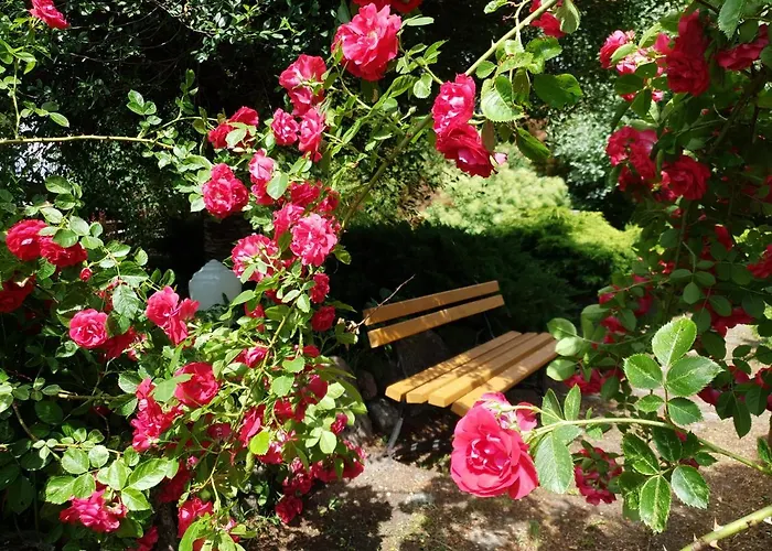 Willa Kamienny Ogród *