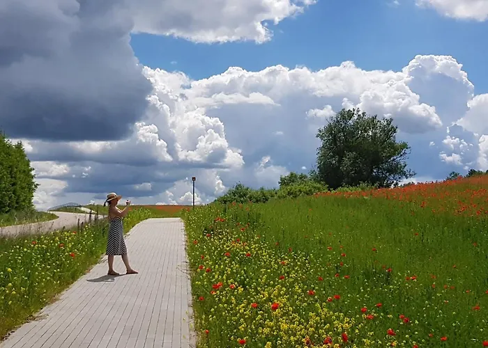 Kamienny Ogród Willa *