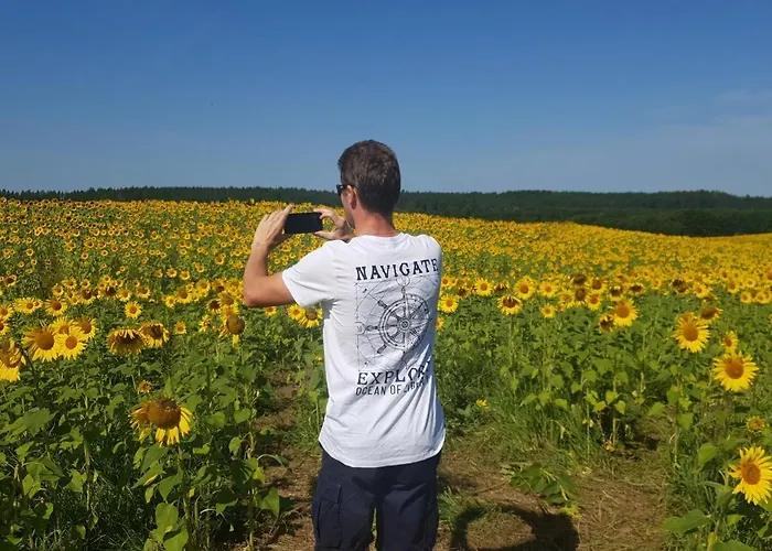 Kamienny Ogród * Mikołajki