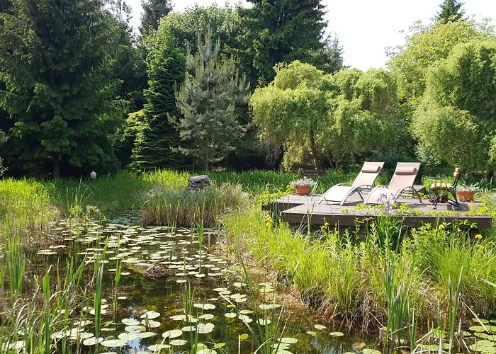 Kamienny Ogród Mikołajki