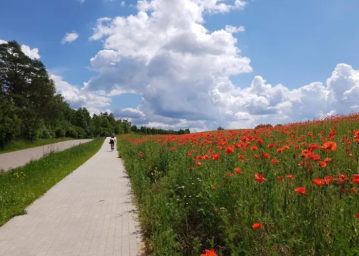 Kamienny Ogród Mikołajki