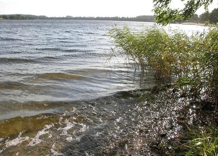 Willa Kamienny Ogród