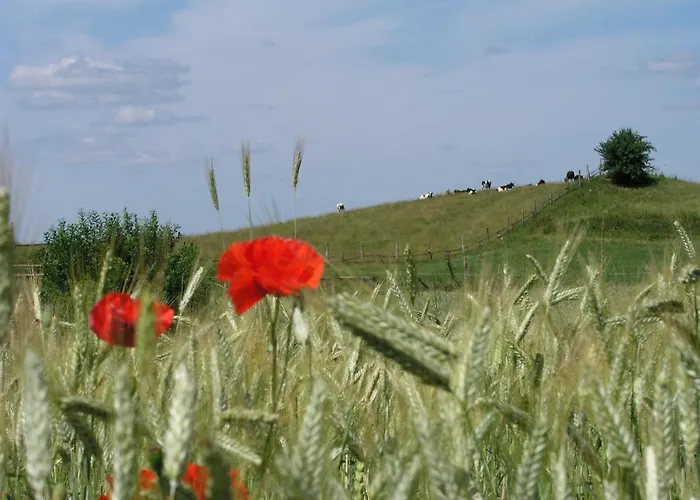 Willa Kamienny Ogród Mikołajki